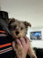 processed/48d4230b-67bb-4f38-91a3-1a99b01bf851/listing/15fa19cc-e6a9-4740-bfc6-39f424f6dbba/d51cd0c0-3743-4ac5-9243-79a80ef8e8d1