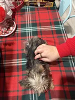 processed/48d4230b-67bb-4f38-91a3-1a99b01bf851/listing/15fa19cc-e6a9-4740-bfc6-39f424f6dbba/f478eb76-181c-4667-9bd4-dc3f2dd8d397