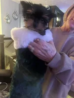 processed/48d4230b-67bb-4f38-91a3-1a99b01bf851/listing/15fa19cc-e6a9-4740-bfc6-39f424f6dbba/f942f87d-8445-44fe-a560-30df6f83d1d8