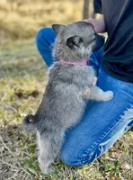 processed/48d5cfae-80c8-4685-986a-0fc0fe07625b/listing/f006c5a6-495b-4ec8-b452-4ff71654b963/3a3be58d-2599-4f2e-928b-1351fbe585be