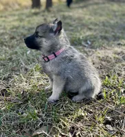 processed/48d5cfae-80c8-4685-986a-0fc0fe07625b/listing/f006c5a6-495b-4ec8-b452-4ff71654b963/520722e3-8ecb-48ad-a7ee-ecd2d852adfa