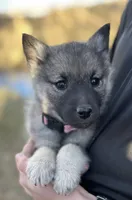 processed/48d5cfae-80c8-4685-986a-0fc0fe07625b/listing/f006c5a6-495b-4ec8-b452-4ff71654b963/abb4aad1-5d5f-46fb-be43-1d8bd07d23ff