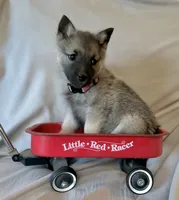 processed/48d5cfae-80c8-4685-986a-0fc0fe07625b/listing/f006c5a6-495b-4ec8-b452-4ff71654b963/e8df1f52-5b56-4a30-8889-c89d40e0d0b7