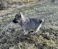 processed/48d5cfae-80c8-4685-986a-0fc0fe07625b/listing/f006c5a6-495b-4ec8-b452-4ff71654b963/f3a5f7ea-aeb1-4a6e-be2c-81dca93138bd