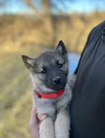 processed/48d5cfae-80c8-4685-986a-0fc0fe07625b/listing/ff33863d-2d0a-4ef1-b00c-10128a9fc0a2/4614d23e-a43f-4717-8e9a-9b3dd3ca1422