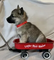 processed/48d5cfae-80c8-4685-986a-0fc0fe07625b/listing/ff33863d-2d0a-4ef1-b00c-10128a9fc0a2/c84a6b71-f53b-4400-a808-d1c568718c63