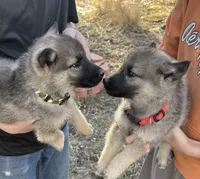 processed/48d5cfae-80c8-4685-986a-0fc0fe07625b/listing/ff33863d-2d0a-4ef1-b00c-10128a9fc0a2/ddad356a-ecce-4731-acec-88ea93314da8