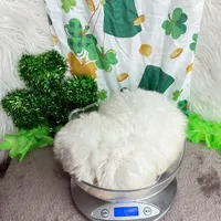 White Boy , a male Maltipoo and Shih Tzu for sale in Belding, MI – Photo 4 of 4