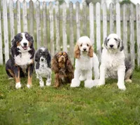 processed/48f054db-cc06-4fb9-ac0c-1cf70517d9e0/facility/0d1760b6-3830-4fef-9524-83ac975b3b78