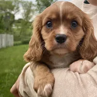 processed/48f054db-cc06-4fb9-ac0c-1cf70517d9e0/facility/148d6bc6-daa8-4011-b0a7-af6e541121c1