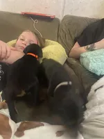 processed/48f07768-54bf-45ea-a820-d4a20293c965/listing/846decc1-8656-4484-ac46-e163f1c8cc90/bb7d54ac-76ac-46df-b7e7-fbf513506414