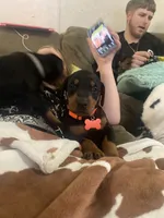 processed/48f07768-54bf-45ea-a820-d4a20293c965/listing/846decc1-8656-4484-ac46-e163f1c8cc90/d67ee5bf-8197-4a69-96df-56c9347399cd