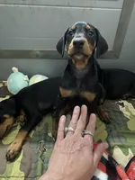 processed/48f07768-54bf-45ea-a820-d4a20293c965/listing/884dd03f-9724-4b64-9a97-f3d39fe43651/6931ba42-1e32-4501-93c9-8908371c528a