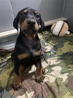 processed/48f07768-54bf-45ea-a820-d4a20293c965/listing/967e6b2e-f4d4-4dc0-adb9-449ef536c128/6720eeb0-1d4c-4e2c-ac56-c7176e74682d