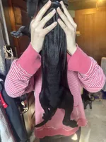 Blue, a male American Staffordshire Terrier and Cane Corso for sale in Toledo, OH – Photo 3 of 4