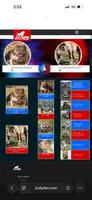 Coco, a female American Bully for sale in Cincinnati, OH – 7 of 7