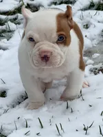 processed/4906c720-9c4b-45ea-9c64-e03c3d93c9cd/listing/a1a98892-2372-407e-8c38-6cb594e88fd6/24c187e2-7f33-4ef6-afbf-d7d86202b6ec