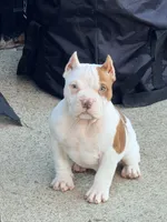 processed/4906c720-9c4b-45ea-9c64-e03c3d93c9cd/listing/a1a98892-2372-407e-8c38-6cb594e88fd6/285719f8-a0be-4d8e-94f7-fda494f04546