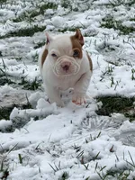 processed/4906c720-9c4b-45ea-9c64-e03c3d93c9cd/listing/a1a98892-2372-407e-8c38-6cb594e88fd6/684041ea-531b-4a01-9a22-05019567ad4f