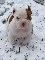 processed/4906c720-9c4b-45ea-9c64-e03c3d93c9cd/listing/a1a98892-2372-407e-8c38-6cb594e88fd6/a59079cc-bc2c-4c49-854d-09b0d70f2f31