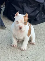 processed/4906c720-9c4b-45ea-9c64-e03c3d93c9cd/listing/a1a98892-2372-407e-8c38-6cb594e88fd6/b31abf6c-2a15-4396-972d-77e38cda069b