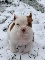 processed/4906c720-9c4b-45ea-9c64-e03c3d93c9cd/listing/a1a98892-2372-407e-8c38-6cb594e88fd6/bb005d55-9dde-45db-9e83-b953d4fdc2b8