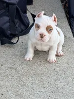 processed/4906c720-9c4b-45ea-9c64-e03c3d93c9cd/listing/ce38d2a2-84d9-49cd-ac43-a4ada1f4a633/22ac0152-edd9-4098-8979-7385e3364ec8