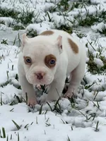 processed/4906c720-9c4b-45ea-9c64-e03c3d93c9cd/listing/ce38d2a2-84d9-49cd-ac43-a4ada1f4a633/22b5b1f3-310a-40d7-95bf-e97bb609a9d4