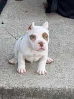 processed/4906c720-9c4b-45ea-9c64-e03c3d93c9cd/listing/ce38d2a2-84d9-49cd-ac43-a4ada1f4a633/5623b09b-fbaf-402e-bcb7-78c01df1f8fd