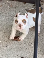 processed/4906c720-9c4b-45ea-9c64-e03c3d93c9cd/listing/ce38d2a2-84d9-49cd-ac43-a4ada1f4a633/5e1a7d1f-f359-4d61-96d7-82d926dbf0fc