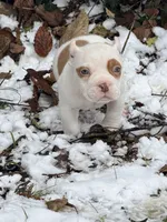 processed/4906c720-9c4b-45ea-9c64-e03c3d93c9cd/listing/ce38d2a2-84d9-49cd-ac43-a4ada1f4a633/c375f9eb-fd08-4bb3-86d0-e1945abe664b