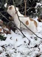 processed/4906c720-9c4b-45ea-9c64-e03c3d93c9cd/listing/ce38d2a2-84d9-49cd-ac43-a4ada1f4a633/f3d4353b-5fdd-4ce4-b5b2-3a124b9b3a14