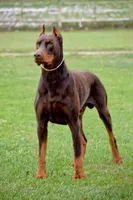 processed/490e085a-f1c6-416d-b686-4a802f891808/facility/1ccfe184-8e34-4df5-b217-10416de0455c