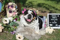 processed/490e085a-f1c6-416d-b686-4a802f891808/facility/42aa1d56-589b-449f-9333-dc2b34a3e3e4