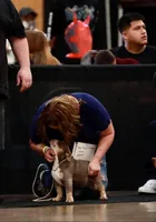 processed/490e085a-f1c6-416d-b686-4a802f891808/facility/8779b8e1-3d2d-4576-9022-2f2767ebdddd