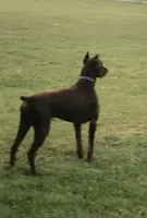 processed/490e085a-f1c6-416d-b686-4a802f891808/facility/a75e9857-789e-4e00-9dd1-71f8a77bef04