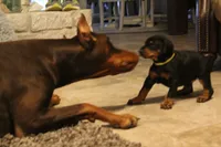 processed/490e085a-f1c6-416d-b686-4a802f891808/facility/cb22133b-0b04-4b9e-a02b-9c6d53e1d8b0