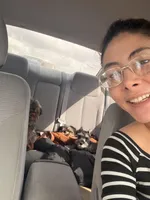 Klaus Mikaelson, a male Miniature Schnauzer for sale in Orlando, FL – Photo 2 of 10