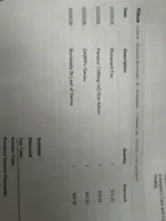 Klaus Mikaelson, a male Miniature Schnauzer for sale in Orlando, FL – Photo 9 of 10