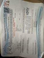 Damon Salvatore, a male Yorkshire Terrier for sale in Orlando, FL – Photo 5 of 7