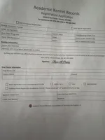 Damon Salvatore, a male Yorkshire Terrier for sale in Orlando, FL – Photo 6 of 7