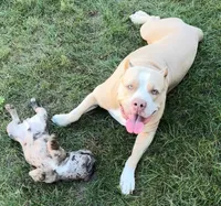 processed/4913e147-6c6b-44b5-b3f6-b413a103e72e/facility/10f3e87f-2947-4644-b2c8-ad5445c43ca5