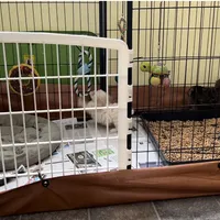 processed/49238ad9-cbf9-4d58-85d9-44af10c3984a/facility/acbe0adb-5214-4412-ac8f-529eb30c4474