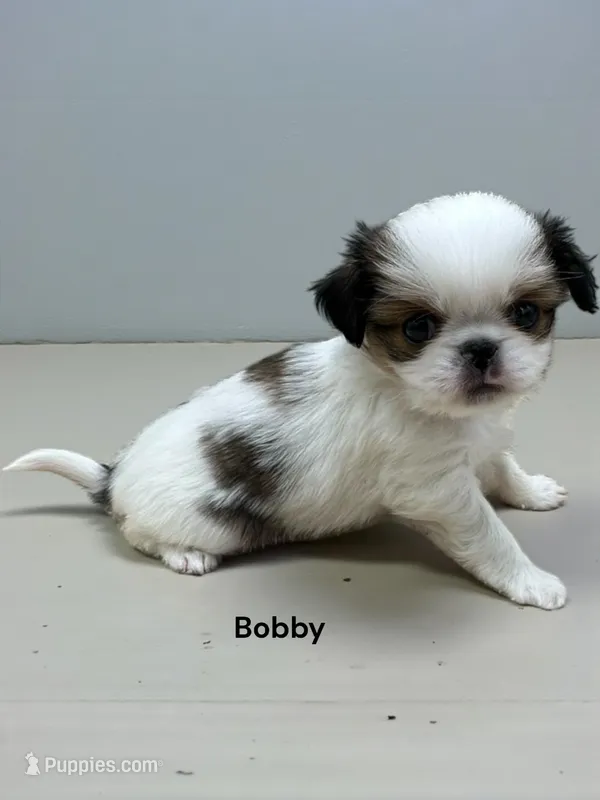 Bobby