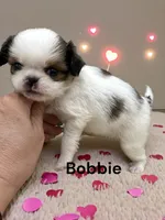 processed/4929f446-ed6a-4190-bf9a-bb953a730695/listing/9a05135f-8299-42f8-8754-151b2178964f/62cdb5a4-5ccc-47e9-82f5-a653618f34f0