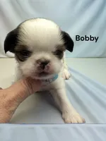 processed/4929f446-ed6a-4190-bf9a-bb953a730695/listing/9a05135f-8299-42f8-8754-151b2178964f/cd96f0a2-295a-4aeb-bf55-7f953aed3f54