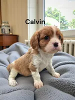 processed/4929f446-ed6a-4190-bf9a-bb953a730695/listing/dbef707c-3984-4b93-bd54-5c1de1b2e508/06bb3f28-d45f-43e5-98fa-317b7c099c88