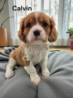 processed/4929f446-ed6a-4190-bf9a-bb953a730695/listing/dbef707c-3984-4b93-bd54-5c1de1b2e508/37c61a4c-08e1-45bd-8a54-41c6f06e59fa