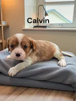 processed/4929f446-ed6a-4190-bf9a-bb953a730695/listing/dbef707c-3984-4b93-bd54-5c1de1b2e508/ffd8128f-27b4-46d4-af6f-93e183033e3a