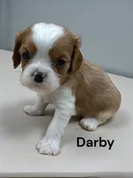 processed/4929f446-ed6a-4190-bf9a-bb953a730695/listing/e593c299-ccd0-4e71-9dd9-87f3c56390f7/3620220c-583b-422c-9540-a14bf8d440cd